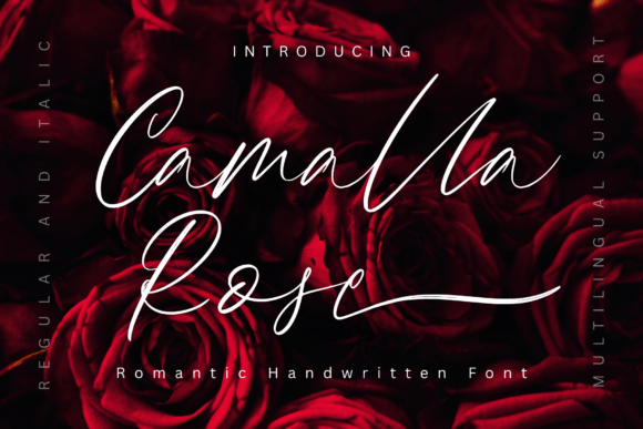 Camalla Rose: A Romantic Script Font for Warm Branding