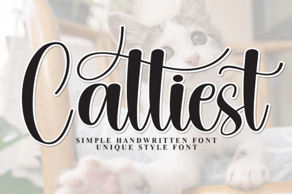 Cattiest: A Font That Adds Personality to Your Brand