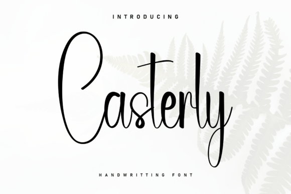 Font Choice That Matters: How Casterly Enhances Campaign Design