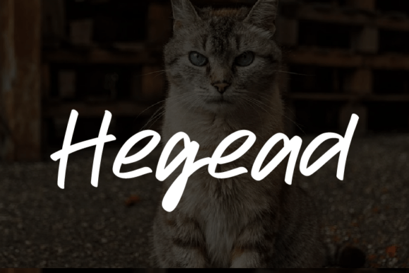 Hegead: The Font That Elevates Your Brand