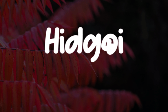 Hidgoi: The Font That Elevates Your Digital Brand