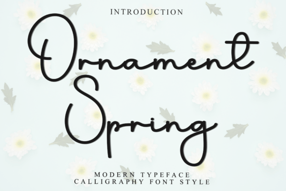 Ornament Spring: A Font That Brings Holiday Magic to Your Brand