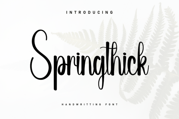 Springthick: The Font That Elevates Your Brand