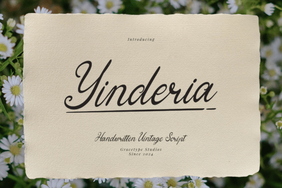 Yinderia: A Timeless Script for Editorial Elegance